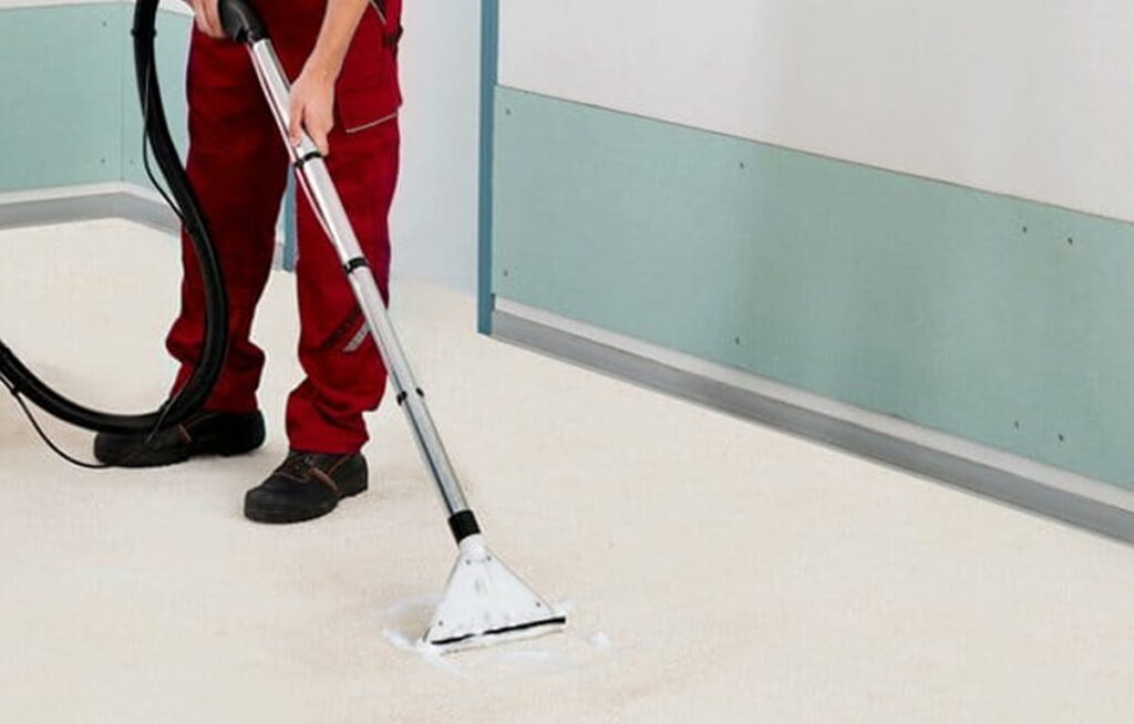 Professional Carpet Cleaning 